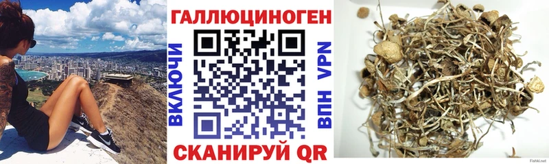 Галлюциногенные грибы прущие грибы купить наркотики сайты hydra вход Рыльск